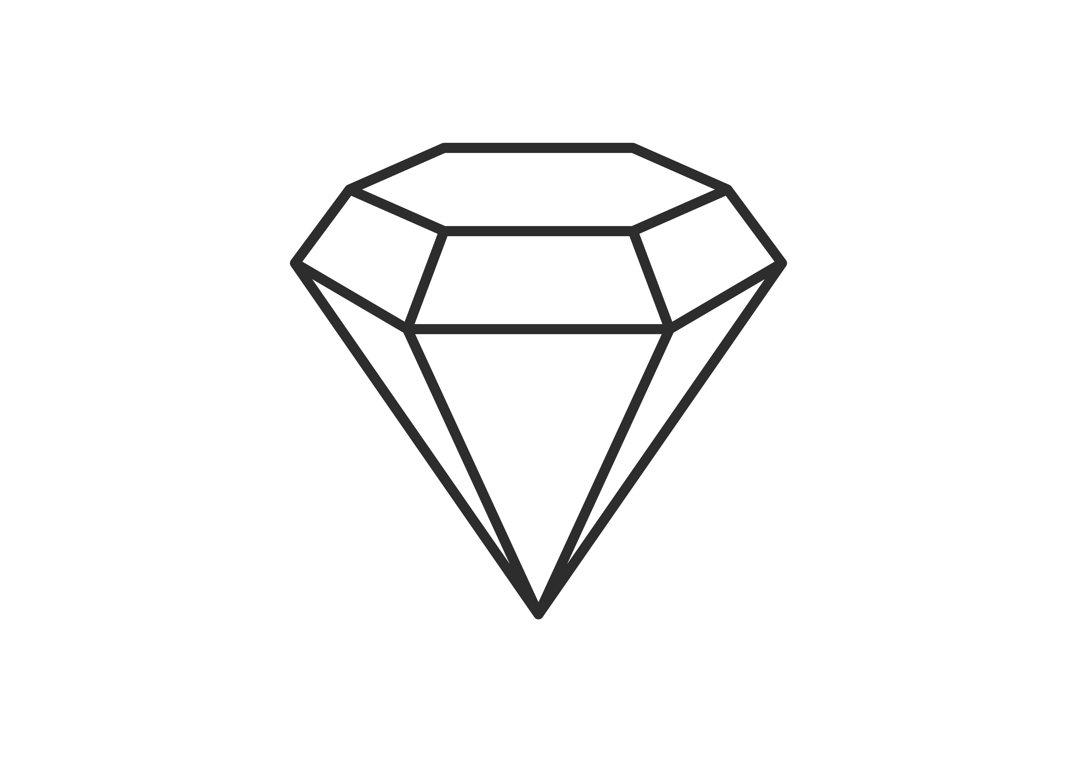 black diamond icona